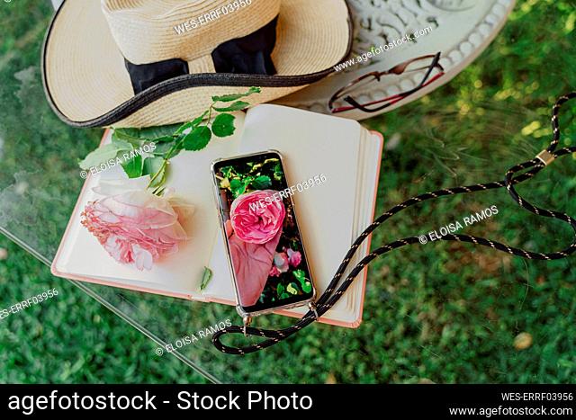 Summer hat, book, rose blossom and smartphone with photo of rose blossom lying on glass pane