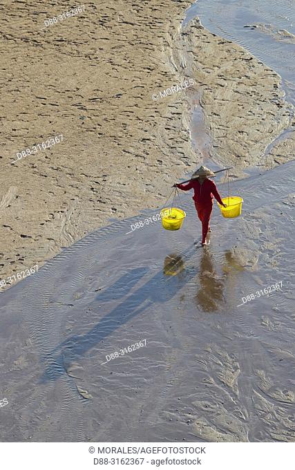 China, Fujiang Province, Xiapu County, Woman, Fisherman on foot, harvesting shells, wearing a yoke with two buckets