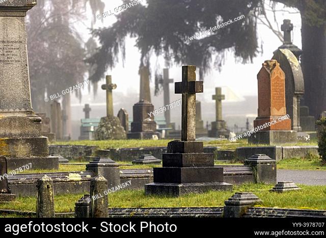 Foggy morning in Ross Bay Cemetery - Victoria, Vancouver Island, British Columbia, Canada
