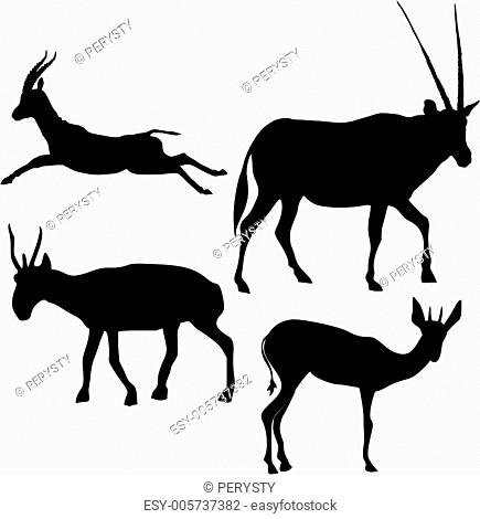 Gazelle silhouette isolated Stock Photos and Images | agefotostock