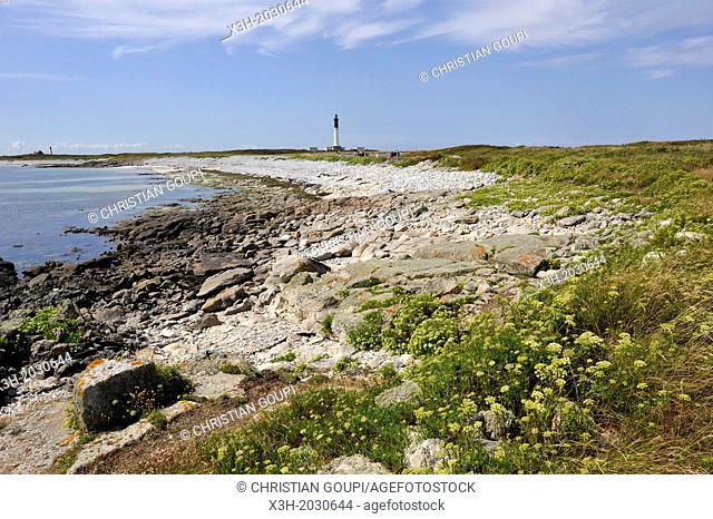 bay and lighthouse of Goulenez in background, Ile de Sein, off the coast of Pointe du Raz, Finistere department, Brittany region, west of France, western Europe