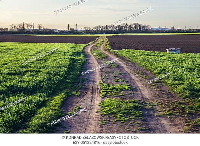 Rural area near Rabensburg town in the district of Mistelbach in the Austrian state of Lower Austria