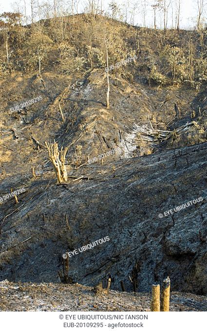 Hillsides burned in the traditional slash and burn style of juma agriculture