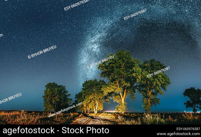Panorama Milky Way Galaxy In Night Starry Sky Above Trees In Summer Forest. Glowing Stars Above Landscape. View From Europe