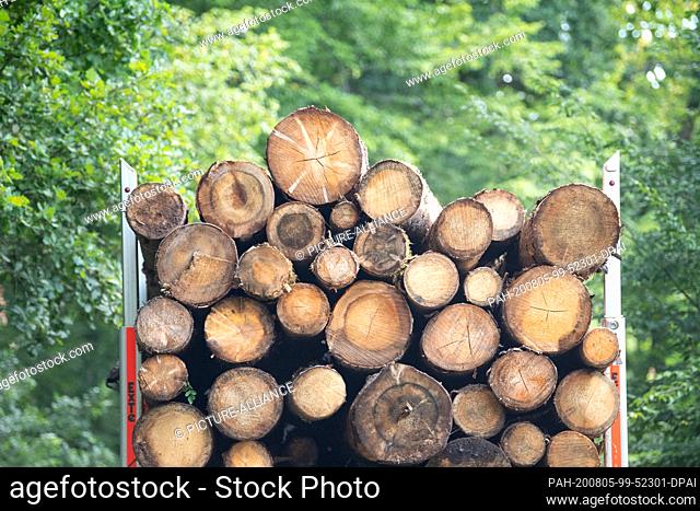 05 August 2020, Baden-Wuerttemberg, Oberrot: A timber truck drives through a forest. The Minister of Forestry is responsible for the welfare of the forests