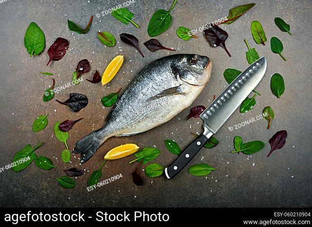 Close up one fresh raw Dorada sea bream fish on table, with kitchen knife, lemon wedges, and salad leaves, elevated top view, directly above