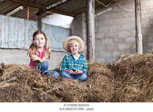 Children sitting in haystack in stable