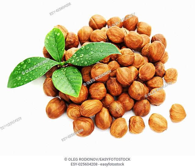 Heap of fresh shelled hazelnuts with green leaves isolated on white background. Closeup