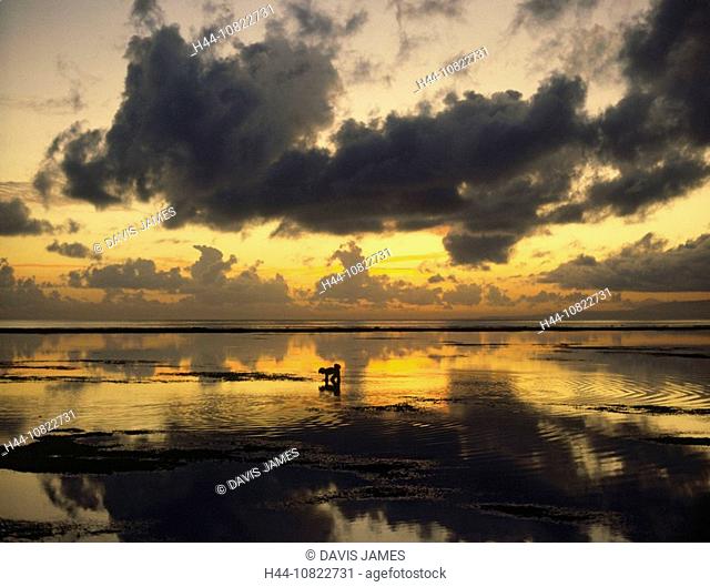 man, fisherman, fishing, fishery, silhouette, sea, dusk, twilight, mood, Sanur Beach, Bali, Asia, Indonesia