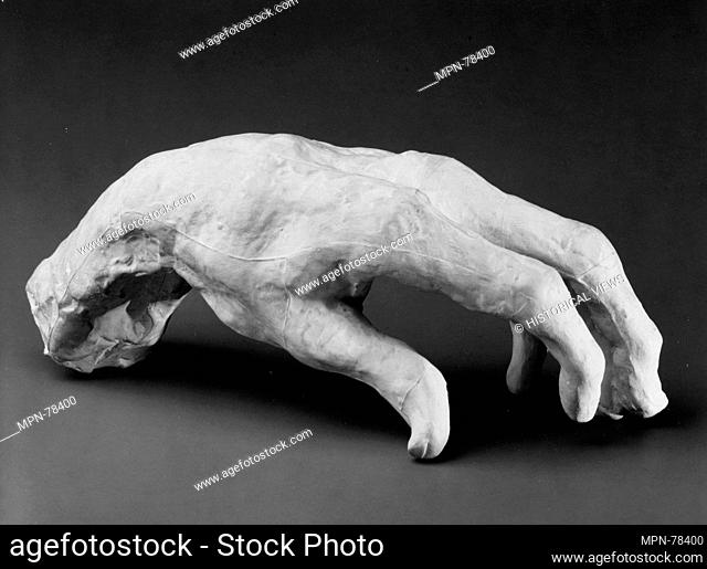 Study of a hand. Artist: Auguste Rodin (French, Paris 1840-1917 Meudon); Date: probably modeled ca. 1895; Culture: French; Medium: Cast plaster; Dimensions:...