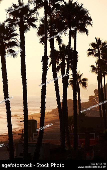 USA, California, San Clemente, Palm trees and beach awash in sunset light