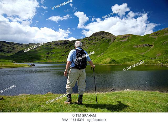 Tourist on nature trail in lakeland countryside at Easedale Tarn lake in the Lake District National Park, Cumbria, UK