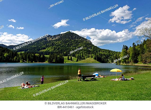 Lake Spitzingsee, shore, Upper Bavaria, Bavaria, Germany