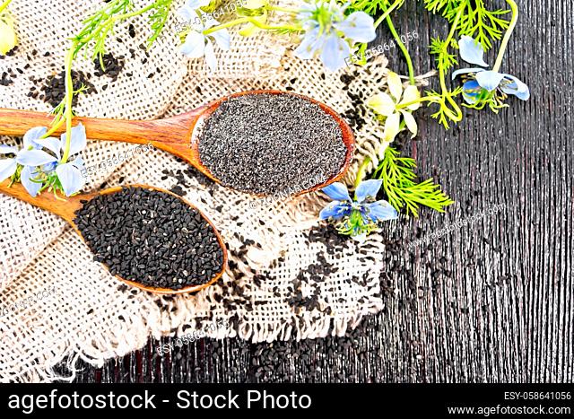 Flour and seeds of Nigella sativa in two spoons on burlap, sprigs of kalingini with blue flowers and green leaves on background of an old wooden board from...