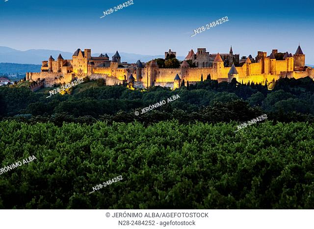 Vineyards and medieval fortified town at dusk, Carcassonne, Aude, Languedoc-Roussillon, France, Europe