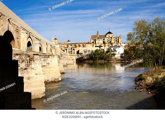 Roman bridge over Guadalquivir river and cathedral mosque, Cordoba, Andalusia, Spain