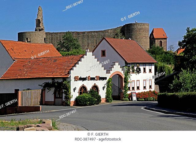 Neuleiningen castle, Wine-growing estate Franz Nippgen, Neuleiningen, Bad Durkheim district, Rhineland-Palatinate, Germany / Bad Dürkheim, built around 1240