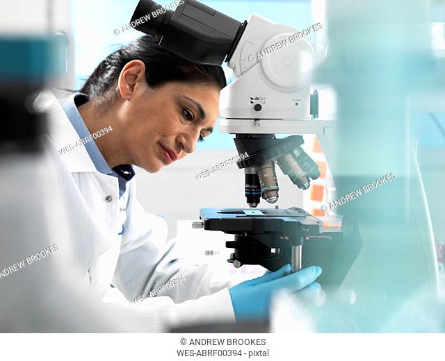 Lab technician preparing sample for analysis under a microscope in the laboratory