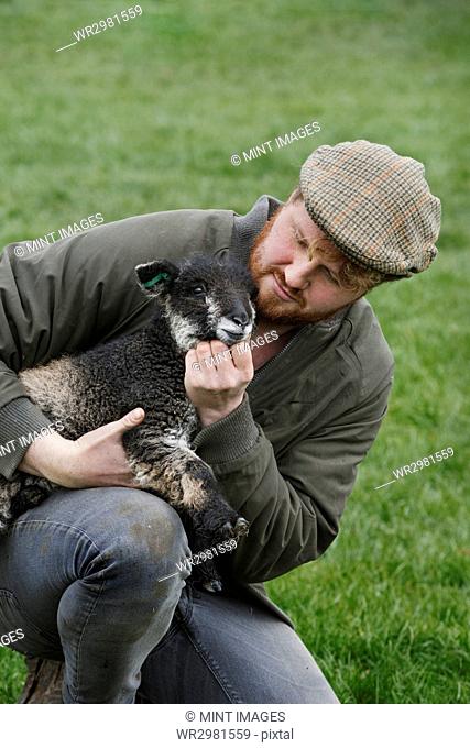 A farmer holding a young lamb in his arms checking on the animal