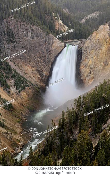 Grand Canyon of the Yellowstone with Lower Falls, Yellowstone NP, Wyoming, USA