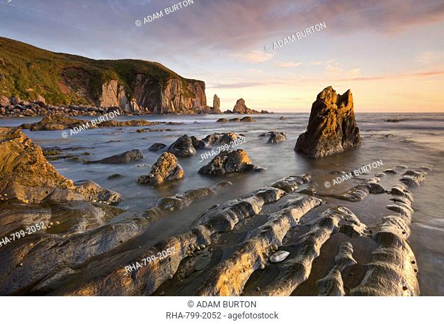 Golden evening sunlight bathes the rocks and ledges at Bantham in the South Hams, South Devon, England, United Kingdom, Europe