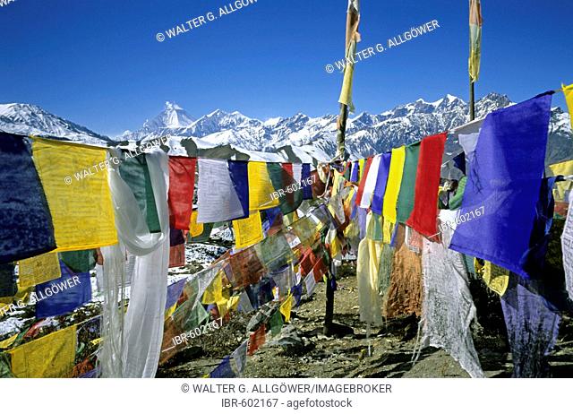Colourful prayer flags printed with holy verses and a Wind Horse, mythical, pre-Buddhist Tibetan creature, Mt, Dhaulagiri in the background, Muktinath