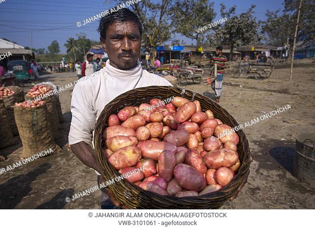 Labors are stacking vegetables in mahasthan hat (popular vendor market), Bogra district, Bangladesh