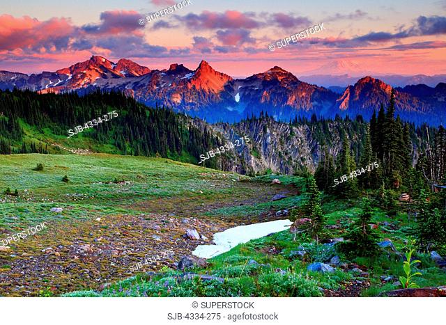 Sunset from an alpine meadow at Van Trump Park on the slopes of Mount Rainier, in Rainier National Park. The jagged Tatoosh Range in the foreground