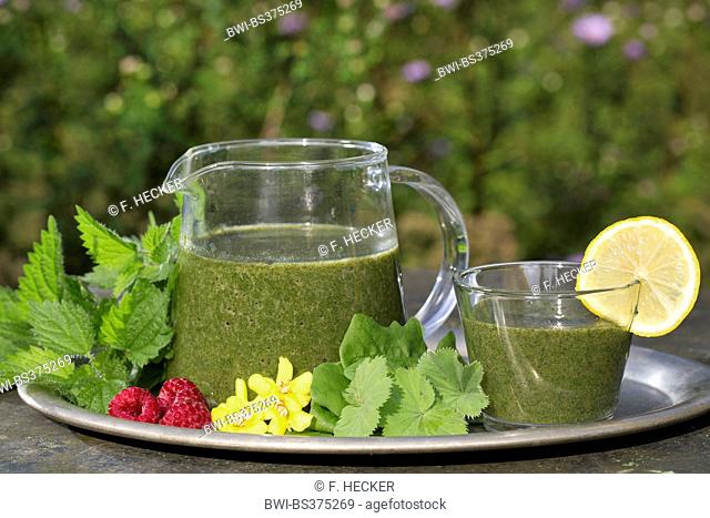 Green Smoothie made of Stinging Nettle and dandelion