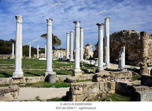 Palaestra, Salamis, Turkish Republic of Northern Cyprus