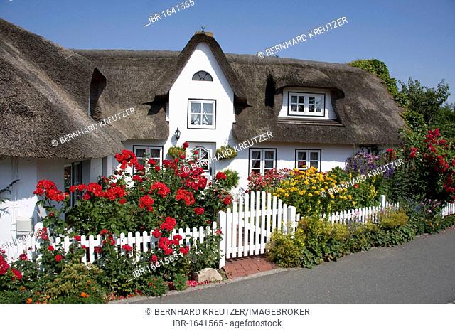Friesenhaus, Frisian house, Nebel, Amrum island, Schleswig-Holstein, Germany, Europe
