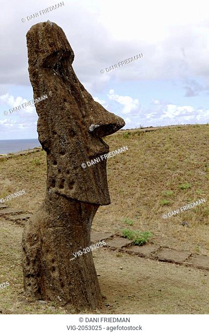 A Moai on the slope of Rano Raraku in Easter Island. Rano Raraku is a volcanic crater which was uses as a quarry to gather the volcanic stone used to construct...