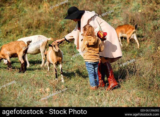 beautiful mother in black hat and coat walks with little daughter girl near herd of goats in autumn