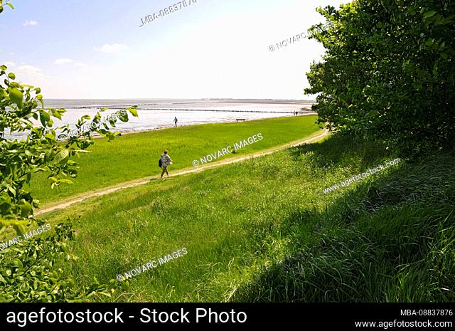 Marshland, Tidal Flats, Keitum district, Sylt, North Frisian Islands, Schleswig Holstein, Germany, Europe