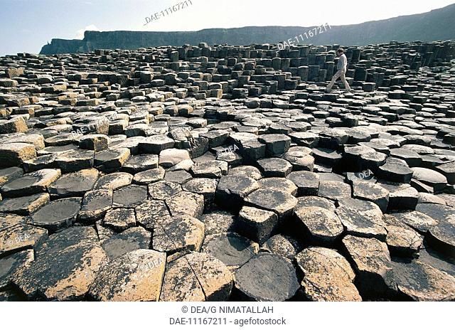 Northern Ireland - County Antrim - The Giant's Causeway (Giant's Causeway, UNESCO World Heritage List, 1986), prismatic columns of basalt