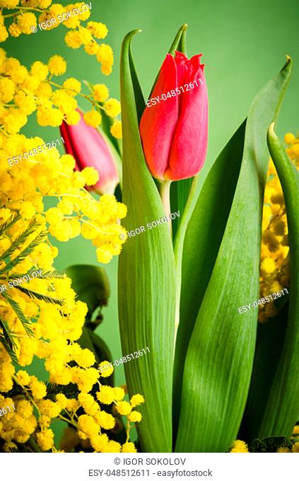 Spring bouquet with tulip and mimosa, close up