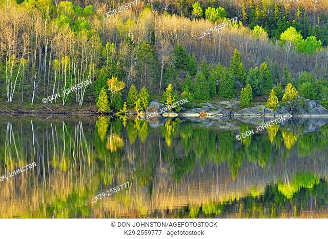 Spring reflections in Simon Lake, Greater Sudbury, Ontario, Canada