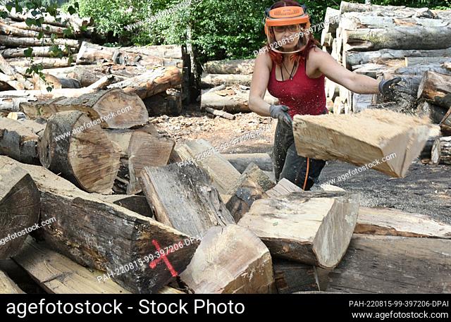 09 August 2022, Saxony, Eisenhammer: In her Eisenhammer charcoal kiln in the Düben Heath, charcoal burner Norma Austinat uses a chain saw to cut beech logs that...