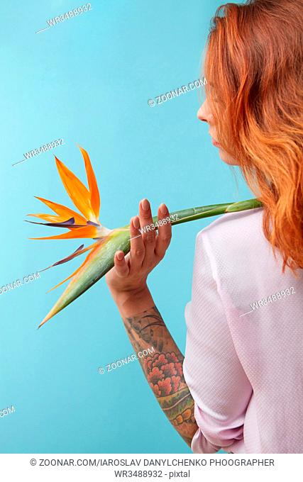 View from the back of a girl holding an orange strelitzia flower on a blue background. Mothers Day
