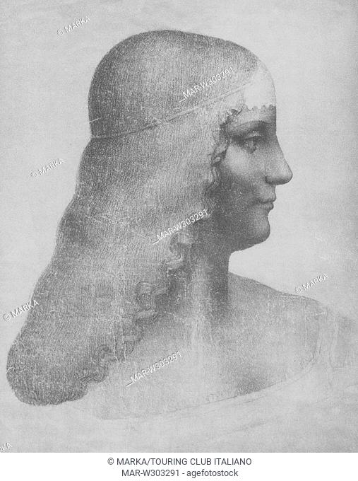 cartone per il ritratto di isabella d'este, 1499-1500, presumibilmente attribuibile a leonardo da vinci, museo del louvre