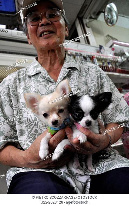 Naha, Okinawa, Japan: man with puppies at Sakaemachi Market