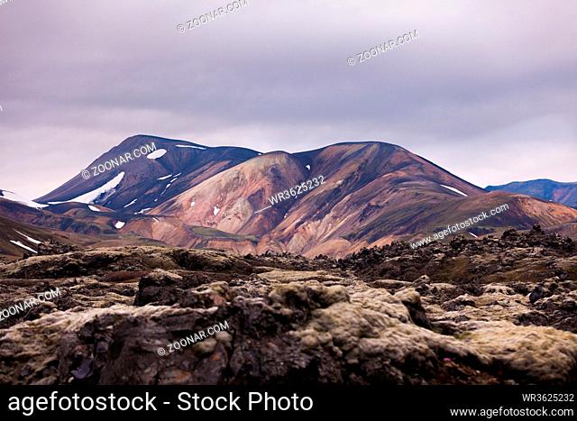gray moss covered lava in front of colorful mountains in Landmannalaugar on Iceland