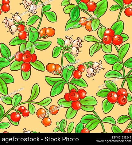 cranberry vector seamless pattern on color background