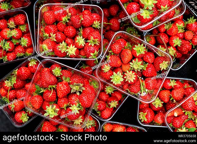 Baskets full of fresh delicious red healthy strawberries from a fruit market Fresh red Strawberry fruits