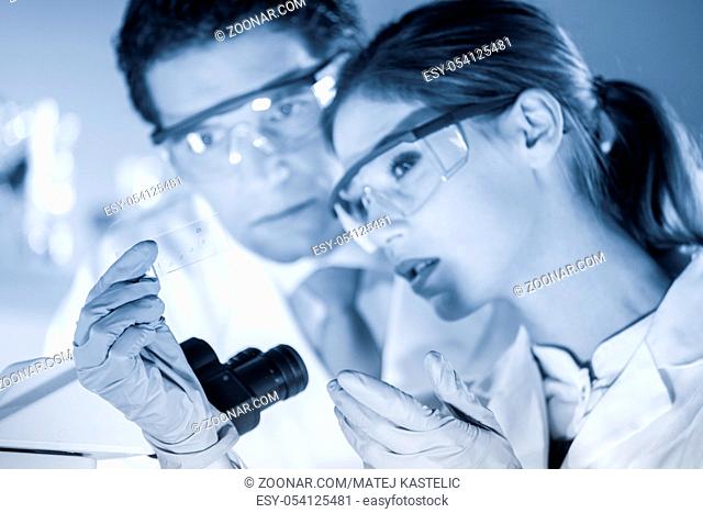 Life scientist researching in laboratory. Scientist and doctoral supervisor looking at microscope slide in forensic laboratory