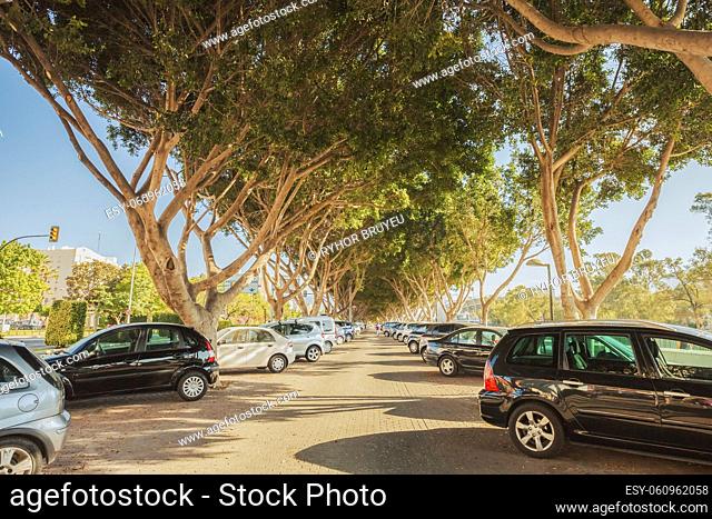 Cars on a parking lot in sunny summer day. Cars Standing Under Trees Shadows In Warm Summer Day