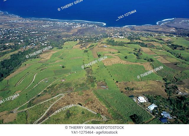 Aerial view of sugar cane fields over Saint Leu town and coast , Reunion Island (France), Indian Ocean
