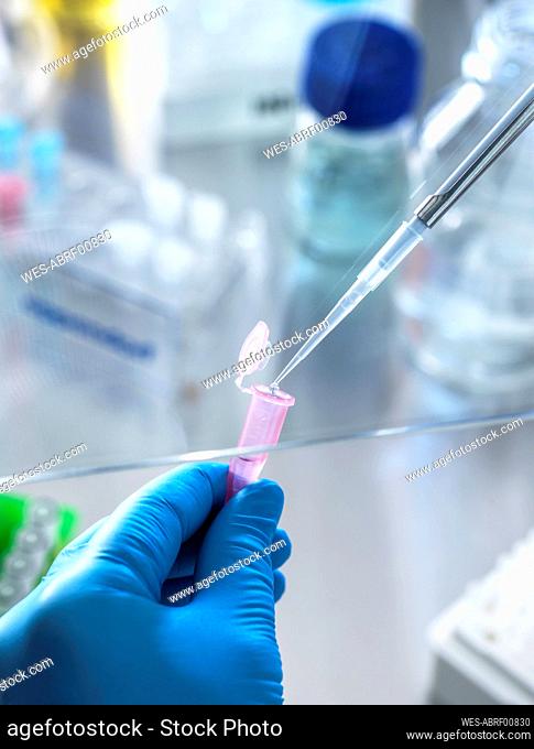 Scientist pipetting DNA sample in vial at laboratory