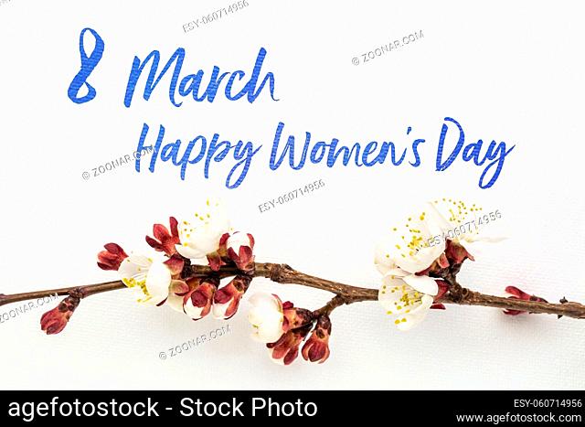 8 March Happy Women's Day - handwriting on white art canvas with apricot tree flower