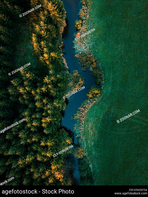 The river stream in the autumn forest in austria